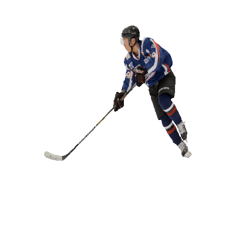 gracelandhockey Sticker