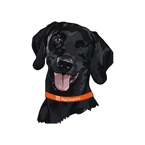 Teambig Sticker by Big Company