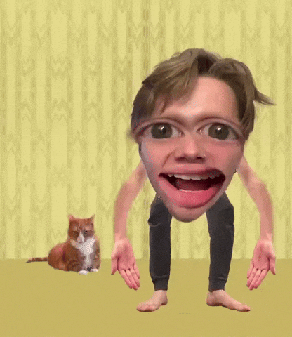 Oliver Orange Cat GIF