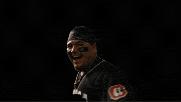 Rubenibarra GIF by Chattanooga Lookouts