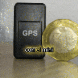 Animated GIF