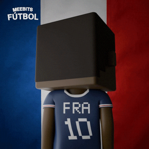 France Football GIF by Meebits