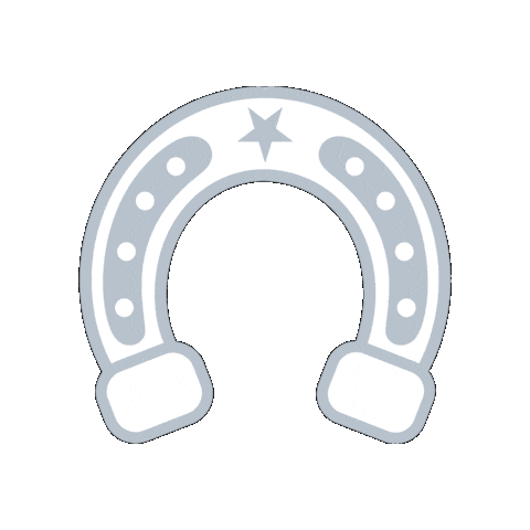 Horse Shoe Acne Expert Sticker by Face Reality Skincare