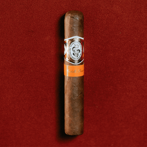 The Revolution Smoke GIF by Casa 1910
