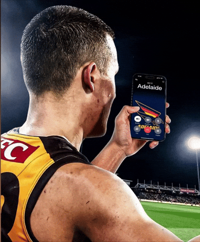 Hawthorn Hawks GIF