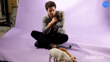 Dylan Obrien GIF by BuzzFeed