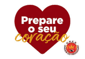 Carnaval Samba Sticker by Unidos do Viradouro