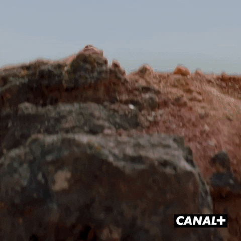 Happy Master Chief GIF by CANAL+
