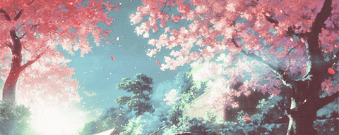 Resultado de imagen de sakura tree gif