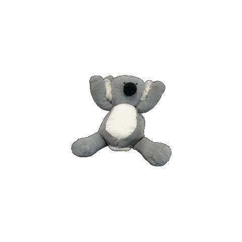 Koala Sticker