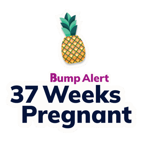 Pregnancy Expecting Sticker by The Bump