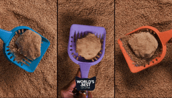 Catlove Worldsbest GIF by Worlds Best Cat Litter