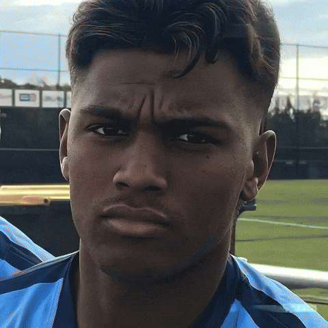 Boscobears GIF by Braken