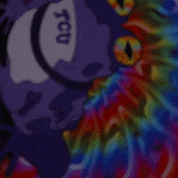 Horned Frogs GIF by TCU Football