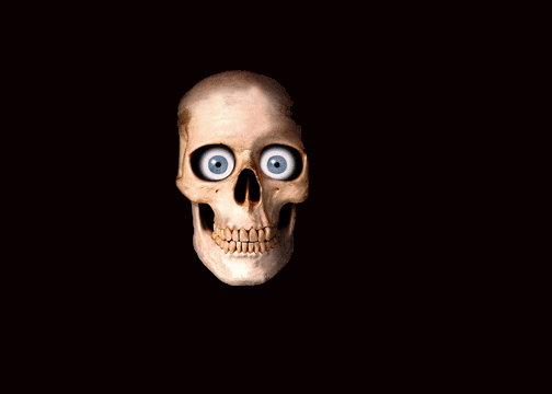  skull GIF