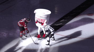 Happy Hockey GIF by Ontario Reign