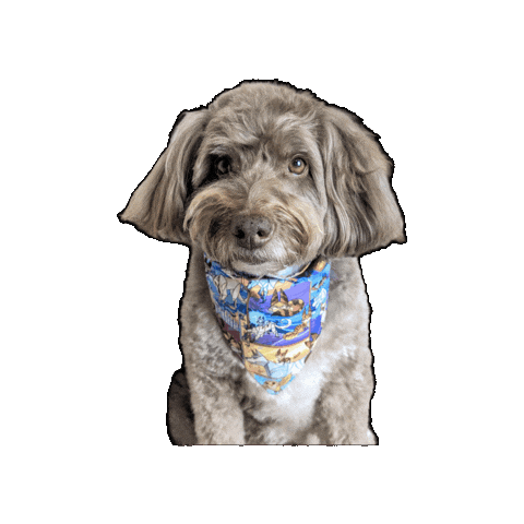 Star Wars Dog Sticker by Geekster Pets