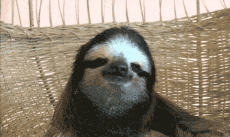 sloth hail satan GIF