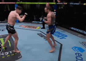 Ufc Chile GIF