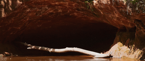 cave caustics GIF