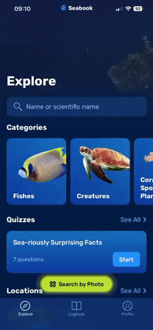 Seabook GIF