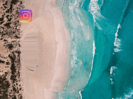 200.gif?cid=fc005b0816123fb4def6e9222e31abc582b65d8d10cc8fa9&rid=200.gif&ct=g