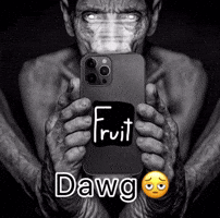 Son Dawg GIF