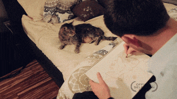 drawing crayon GIF by Internet Cat Video Festival