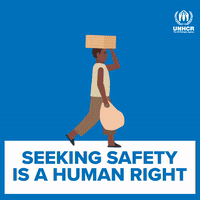 Seeking Safety Is A Human Right