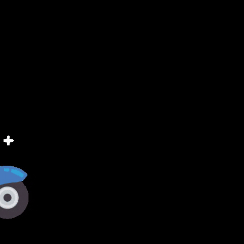 TODO CHANCHO GIF