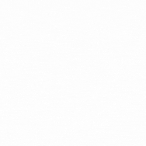 la serenisima GIF