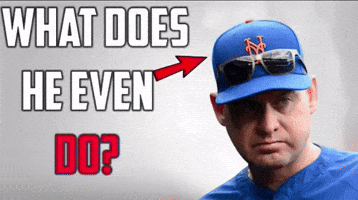 Mets Suck GIF