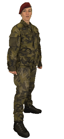 Armáda České republiky Sticker