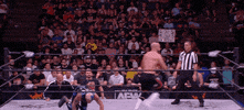 Dustin Rhodes Wrestling GIF by AEWonTV