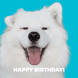 Happy Birthday GIF by Unscreen