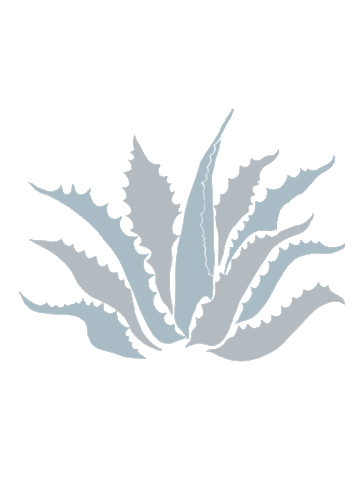 Plant Life Atlanta Sticker by Pure Taqueria