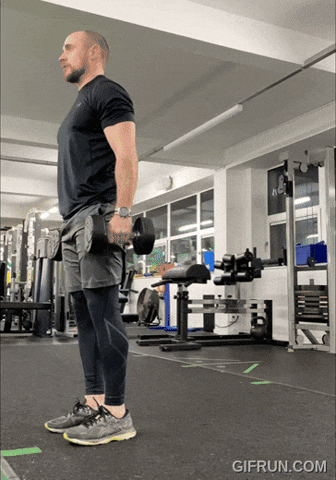 Dumbbell Reverse Lunge GIF