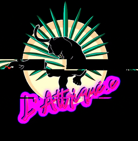 L'Attriqué.e GIF