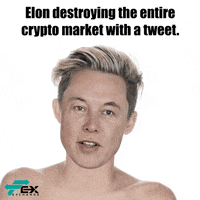 Elon Musk Cryptocurrency GIF by Favor Exchange