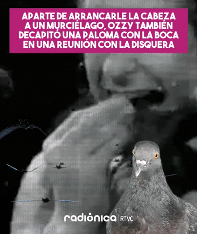 Ozzy Osbourne GIF