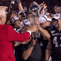 Horned Frogs Football GIF by TCU Athletics