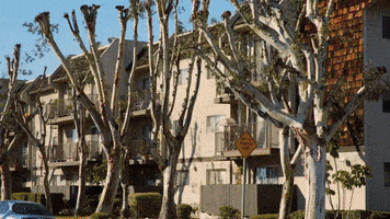 Season 1 Breakfast GIF by BET Plus