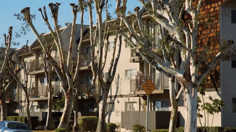 Season 1 Breakfast GIF by BET Plus