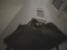 Harley Davidson Yoon GIF by KA$HDAMI