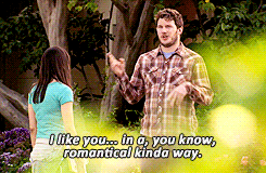 Parks And Recreation Love GIF