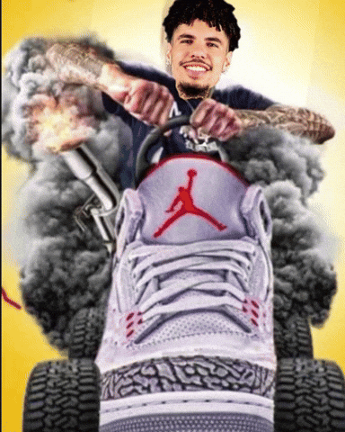 Charlotte Hornets Car GIF