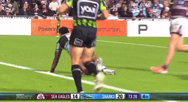 Nrl Sharks GIF