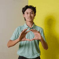 Oregon GIF by GoDucks