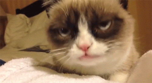 Grumpy Cat Sticker - Grumpy Cat Angry - Discover & Share GIFs