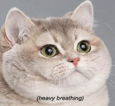 giphy.gif?cid=6c09b9528589af256802789b8f